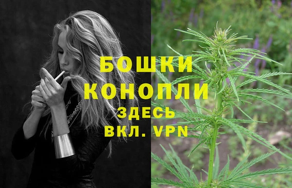 амф Мегион