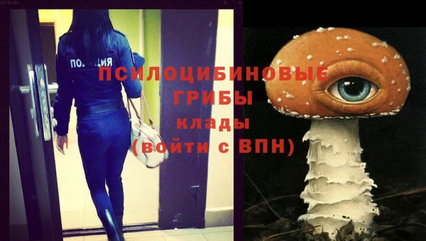 COCAINE Медвежьегорск