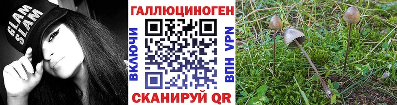 блэк спрут онион Медвежьегорск Галлюциногенные грибы MAGIC MUSHROOMS