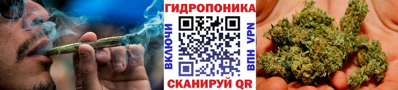 Бошки марихуана Ganja  Медвежьегорск 